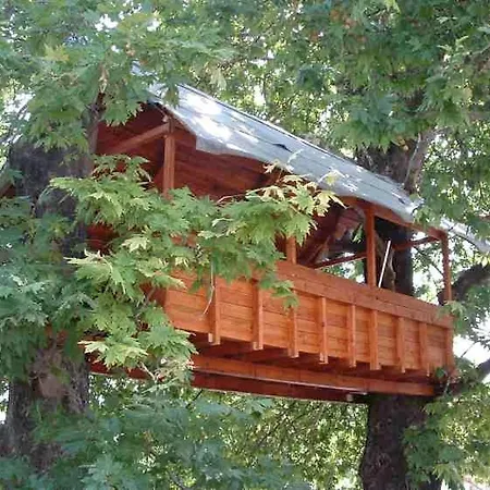 To Nature A Apartamento Amos