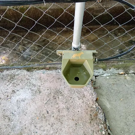 To Nature A *