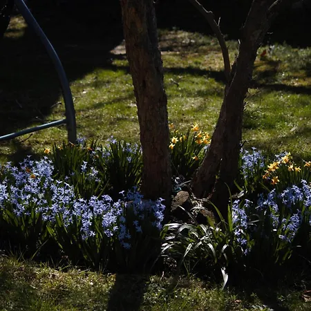 Apartmán To Nature A Amos