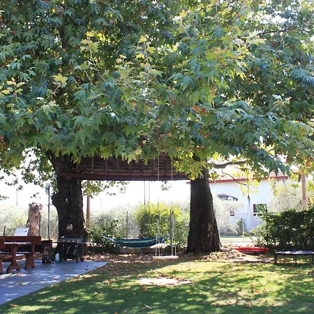Apartamento To Nature A