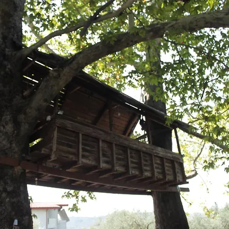 To Nature A Apartamento Amos