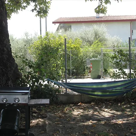 To Nature A * Amos