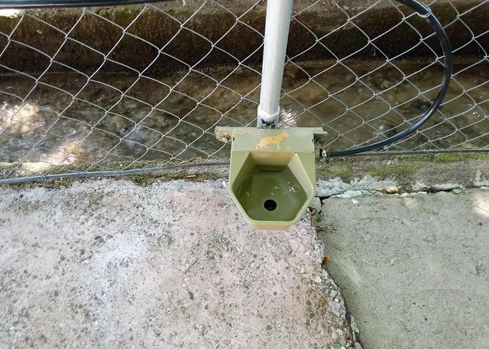 To Nature A *